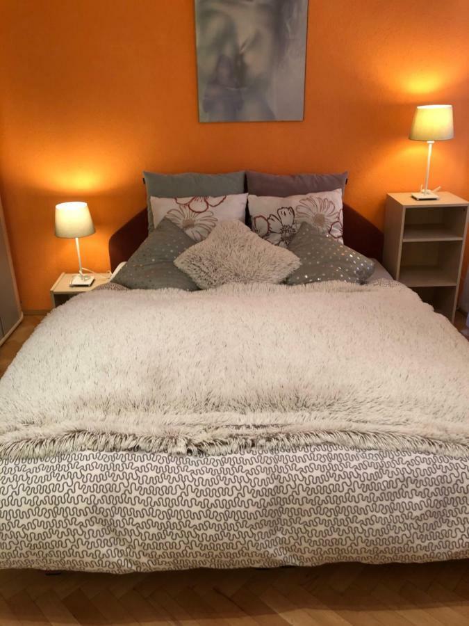 Apartman Orchidej U Vridla 카를로비바리 외부 사진
